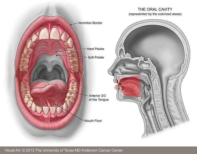 Oral Cavity Cancer